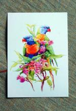 Почтовая открытка "Многоцветные лори"
