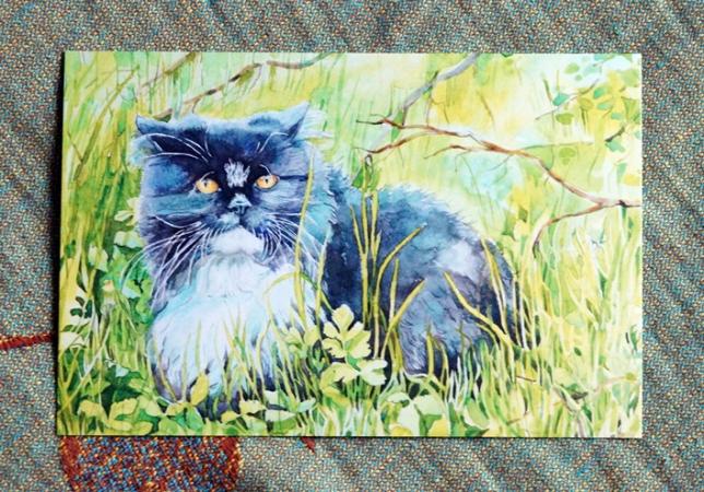 Кот Бегемот